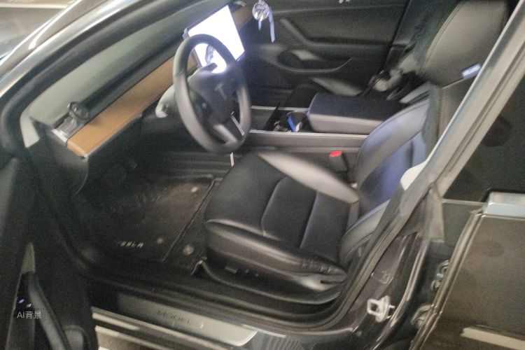 Tesla Model 3 2020 car image #18