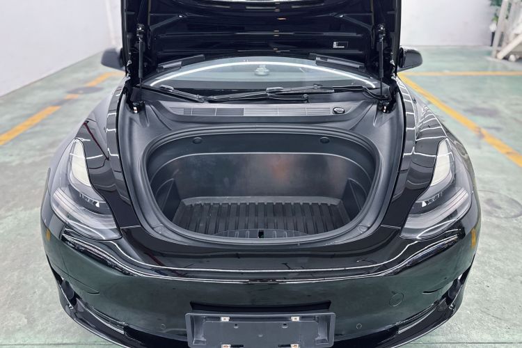 Tesla Model 3 2021 #10 Tesla Model 3 2021 car image #10