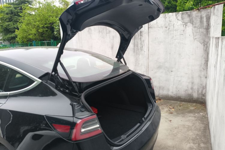 Tesla Model 3 2020 car image #19