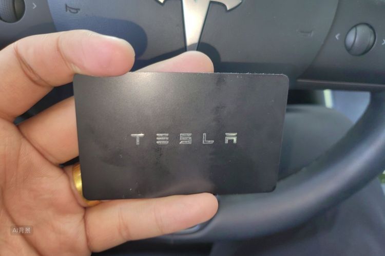 Tesla Model 3 2020 #10 Tesla Model 3 2020 car image #10