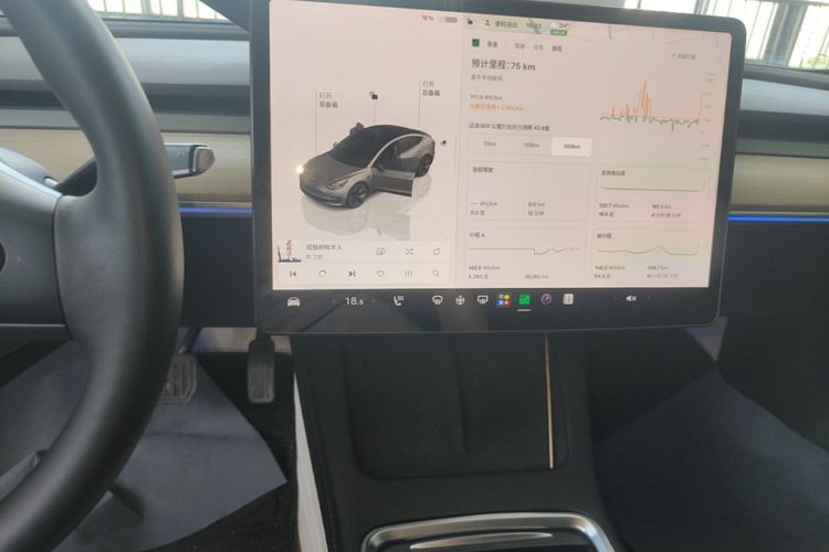 Tesla Model 3 2023 immagine di auto #13