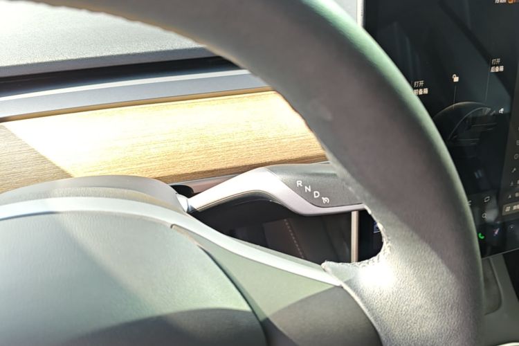 Tesla Model 3 2021 car image #14