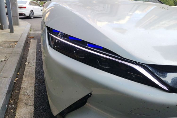 BYD Han 2022 immagine di auto #8