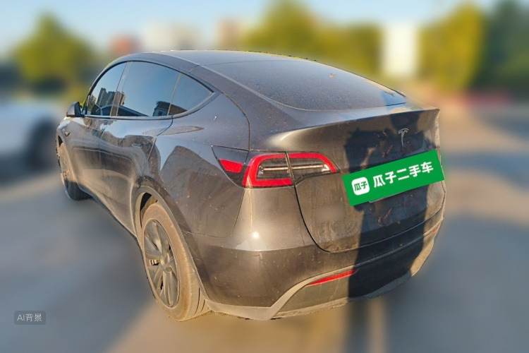 Tesla Model Y 2025 car image #5