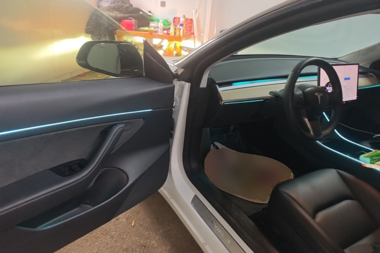 Tesla Model 3 2020 #12 Tesla Model 3 2020 car image #12