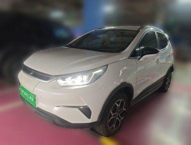 BYD Yuan Pro 2021 car image 