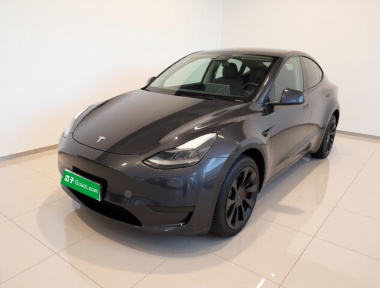 Tesla Model Y 2024 Tesla Model Y 2024 car image