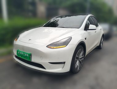 Tesla Model Y 2022 car image 