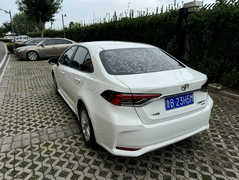 Toyota Corolla 2020 #6 Toyota Corolla 2020 car image #6