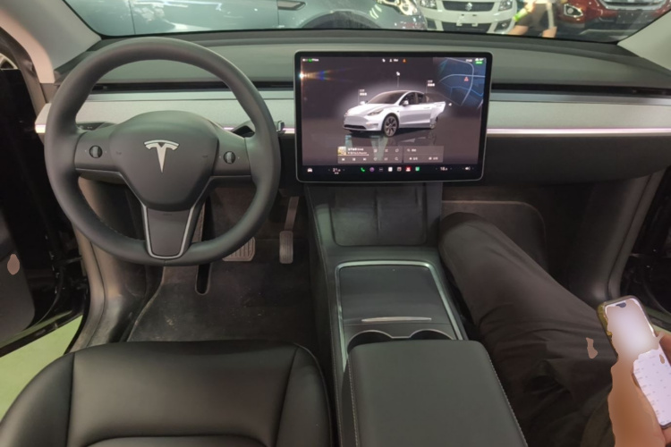 Tesla Model Y 2023 car image #10