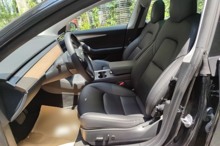 Tesla Model 3 2021 car image #15