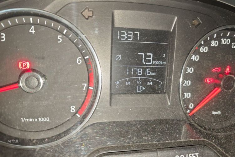 Volkswagen Polo 2016 car image #14