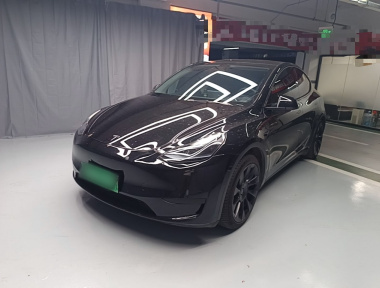 Tesla Model Y 2022 Tesla Model Y 2022 car image