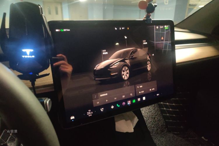 Tesla Model Y 2022 car image #13