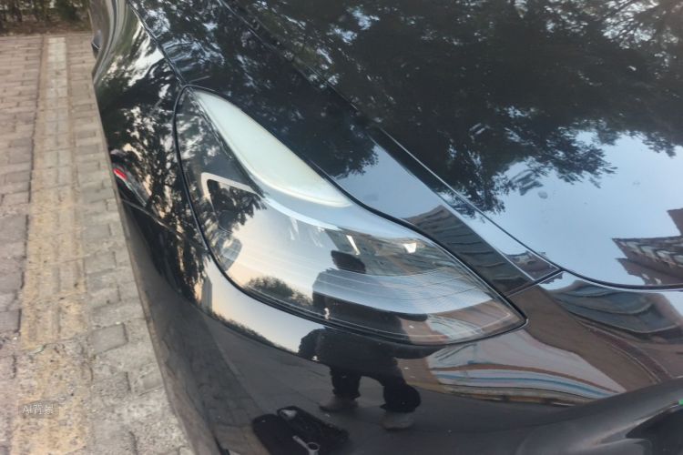 Tesla Model Y 2021 #8 Tesla Model Y 2021 car image #8