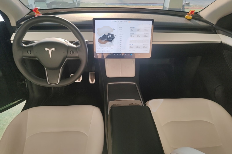 Tesla Model Y 2024 #10 Tesla Model Y 2024 car image #10