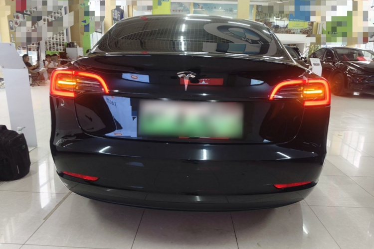 Tesla Model 3 2023 #6 Tesla Model 3 2023 car image #6