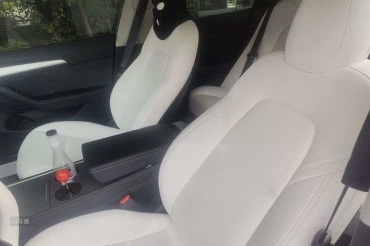 Tesla Model 3 2023 #17 Tesla Model 3 2023 car image #17