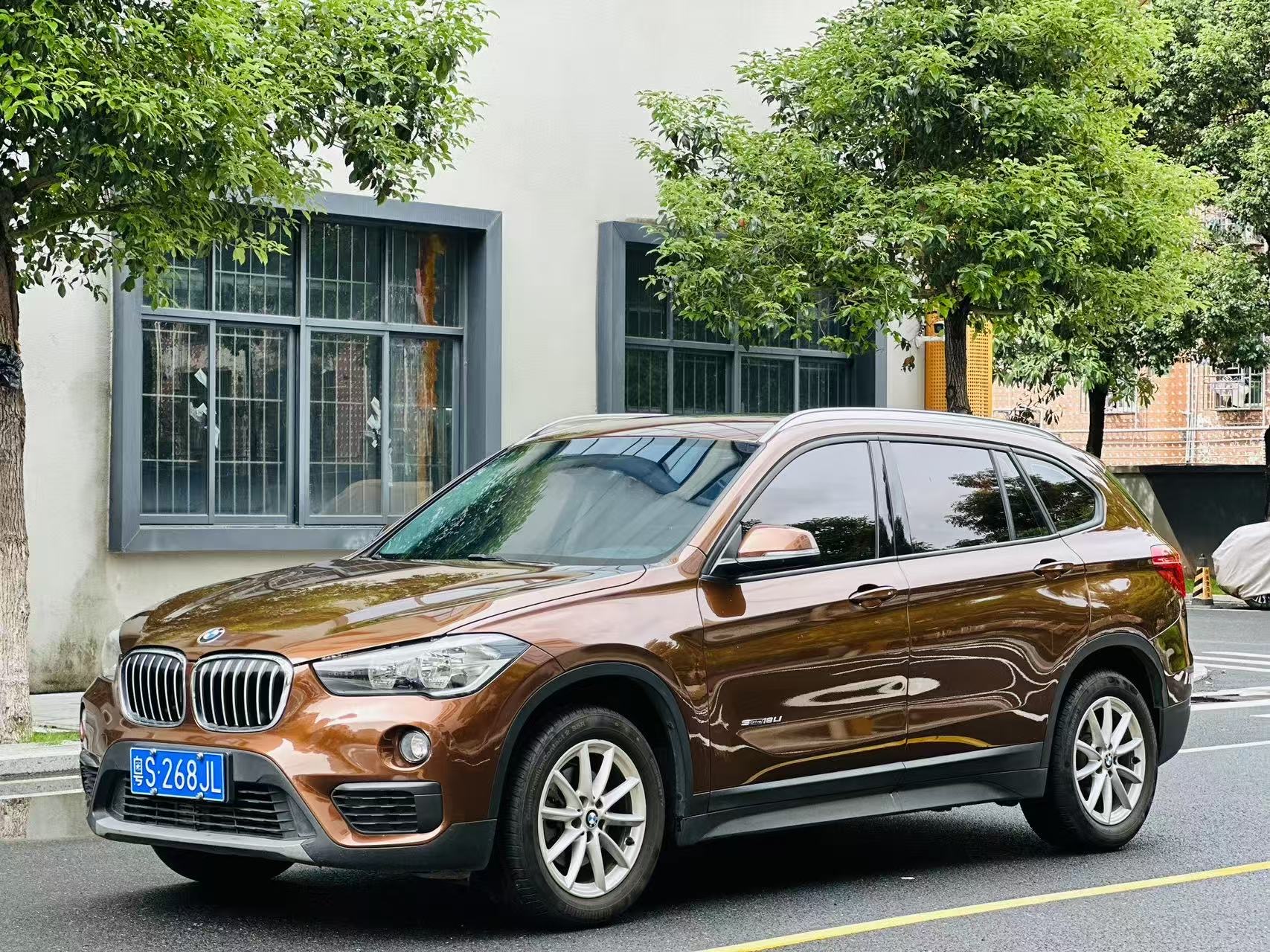 BMW X1 2017 car image 