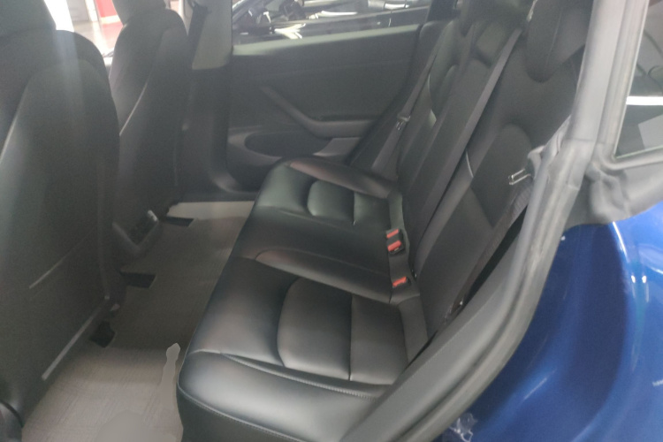 Tesla Model 3 2020 immagine di auto #17