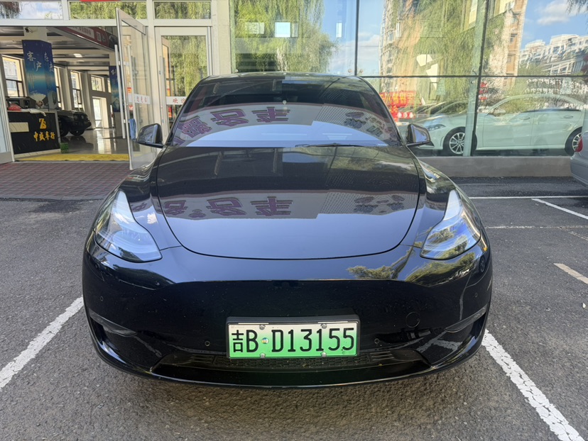 Tesla Model Y 2023 Tesla Model Y 2023 car image