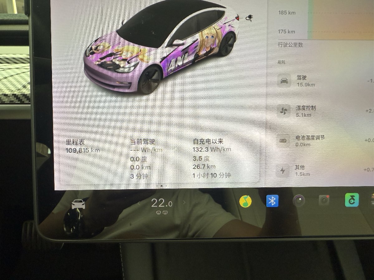 Tesla Model 3 2021 #3 Tesla Model 3 2021 car image #3