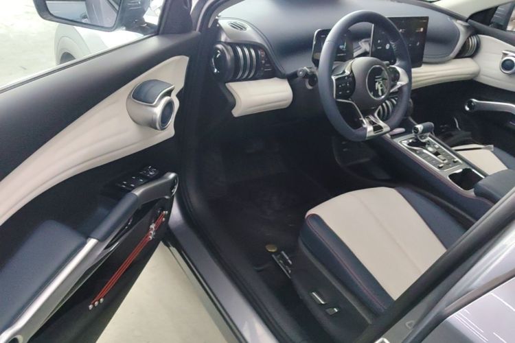 BYD Yuan Plus 2023 car image #16