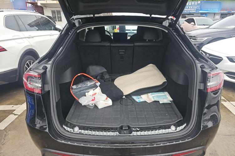 Tesla Model Y 2021 immagine di auto #19