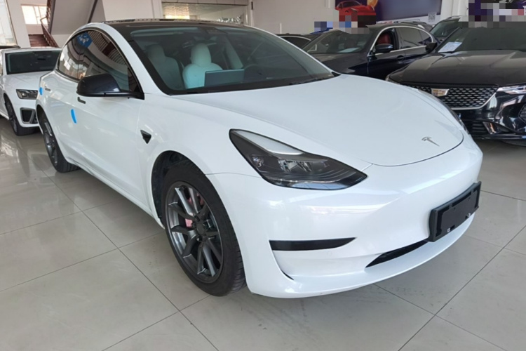 Tesla Model 3 2021 #6 Tesla Model 3 2021 car image #6