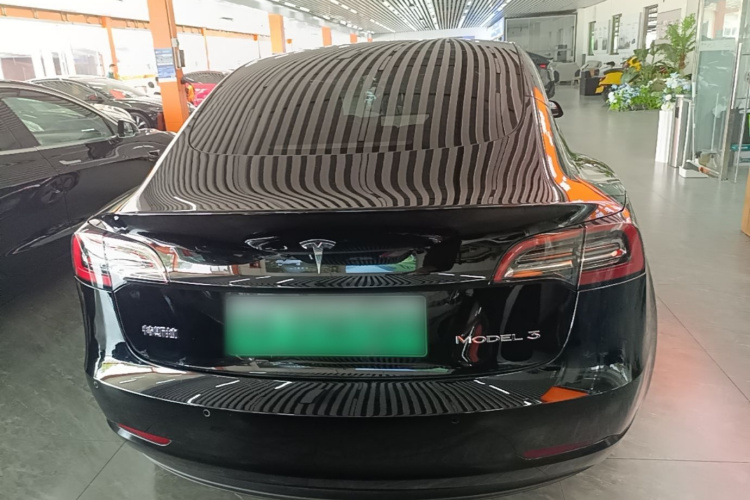 Tesla Model 3 2023 #6 Tesla Model 3 2023 car image #6