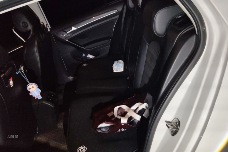 Volkswagen Golf 2018 car image #19