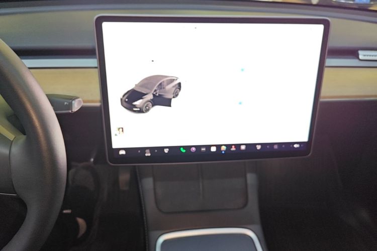 Tesla Model Y 2021 #17 Tesla Model Y 2021 car image #17