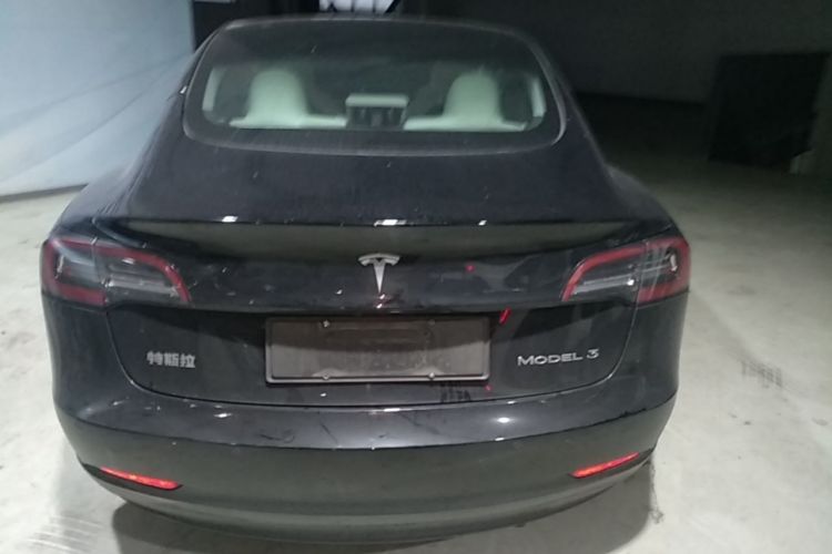 Tesla Model 3 2021 #6 Tesla Model 3 2021 imagem de carro #6