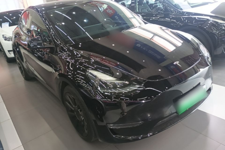 Tesla Model Y 2021 car image #6