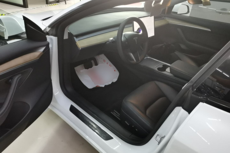 Tesla Model 3 2021 car image #16