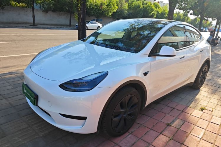 Tesla Model Y 2024 immagine di auto #2