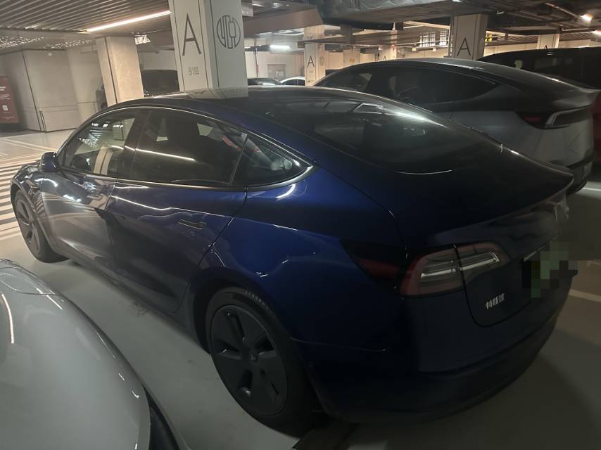 Tesla Model 3 2021 #3 Tesla Model 3 2021 car image #3