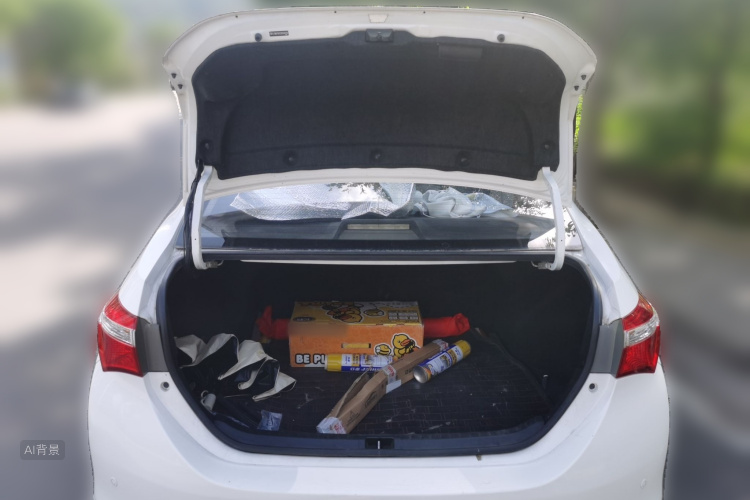 Toyota Corolla 2016 car image #21