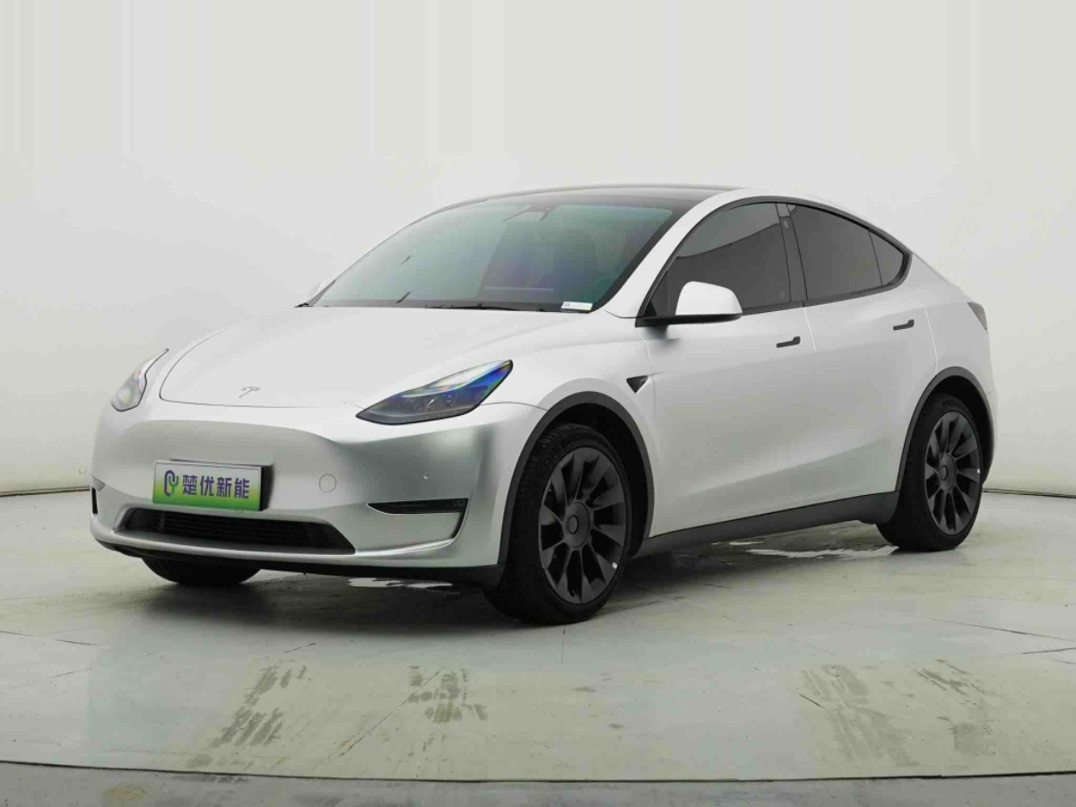 Tesla Model Y 2022 car image 