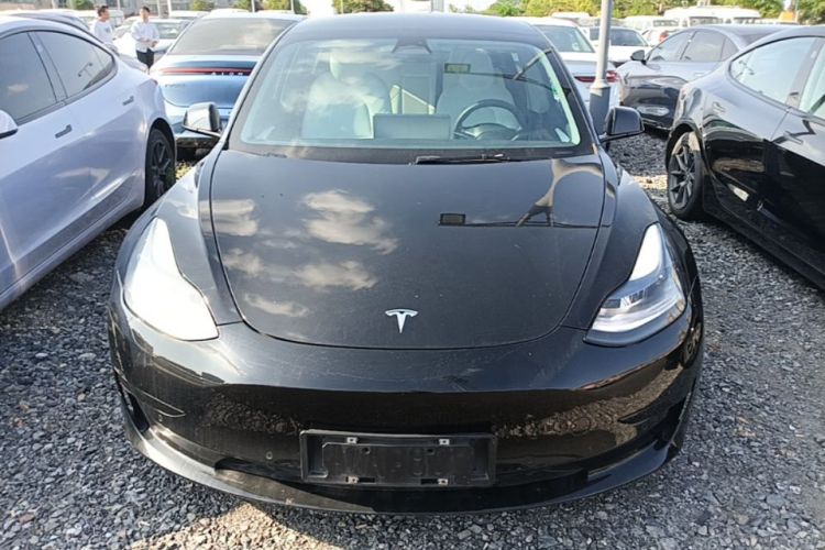 Tesla Model 3 2022 #3 Tesla Model 3 2022 car image #3