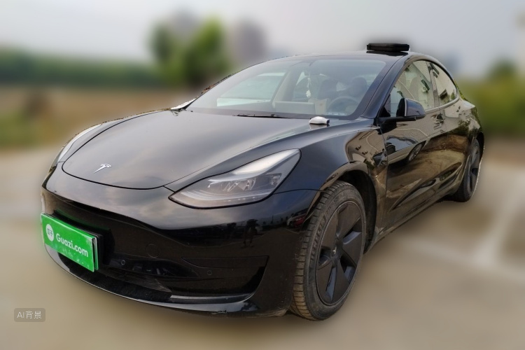 Tesla Model 3 2022 #2 Tesla Model 3 2022 car image #2