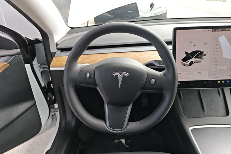 Tesla Model 3 2021 #11 Tesla Model 3 2021 car image #11