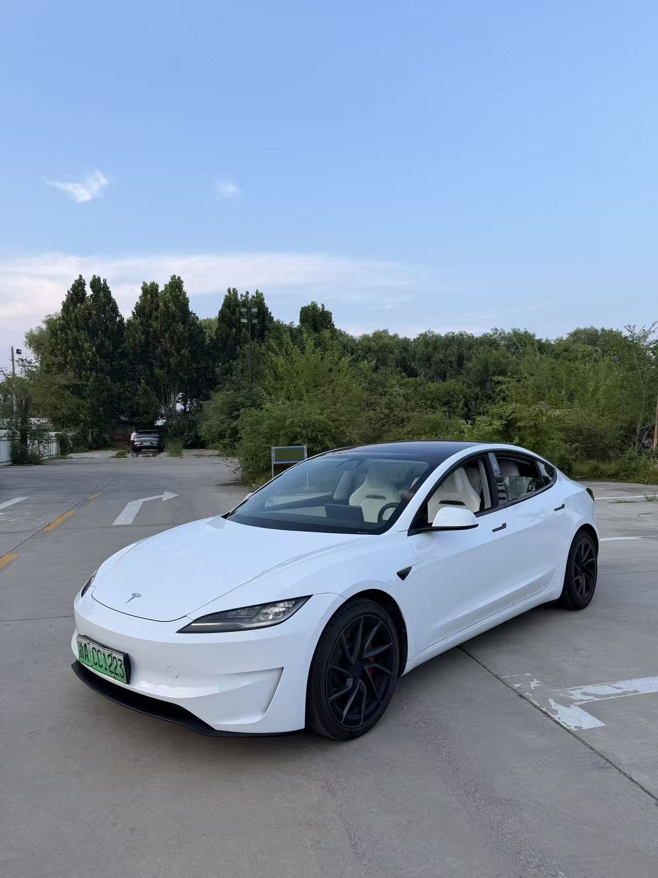 Tesla Model 3 2024 Tesla Model 3 2024 immagine di auto
