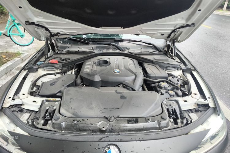 BMW 3 Series 2016 car image #22