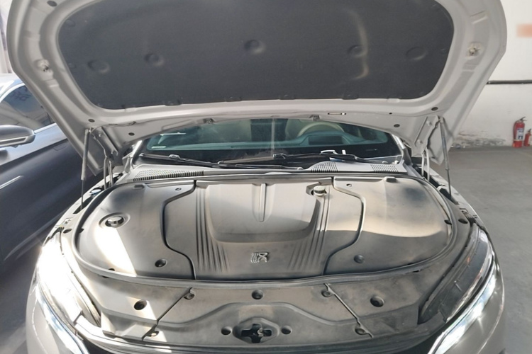 BYD Han 2024 car image #20