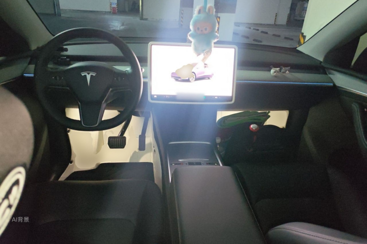 Tesla Model Y 2023 #11 Tesla Model Y 2023 صورة سيارة #11