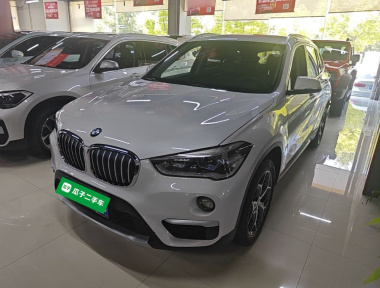 BMW X1 2019 BMW X1 2019 imagen de coche