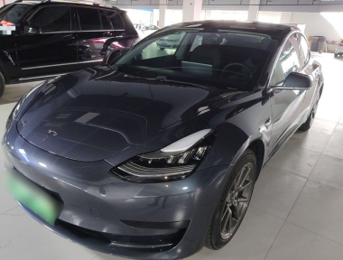 Tesla Model 3 2020 Tesla Model 3 2020 car image