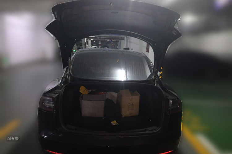 Tesla Model 3 2020 car image #21