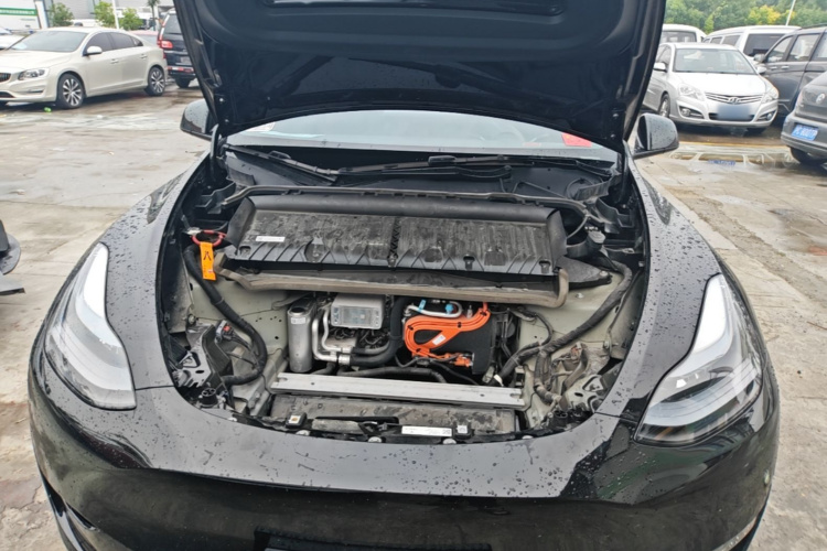Tesla Model Y 2021 car image #20